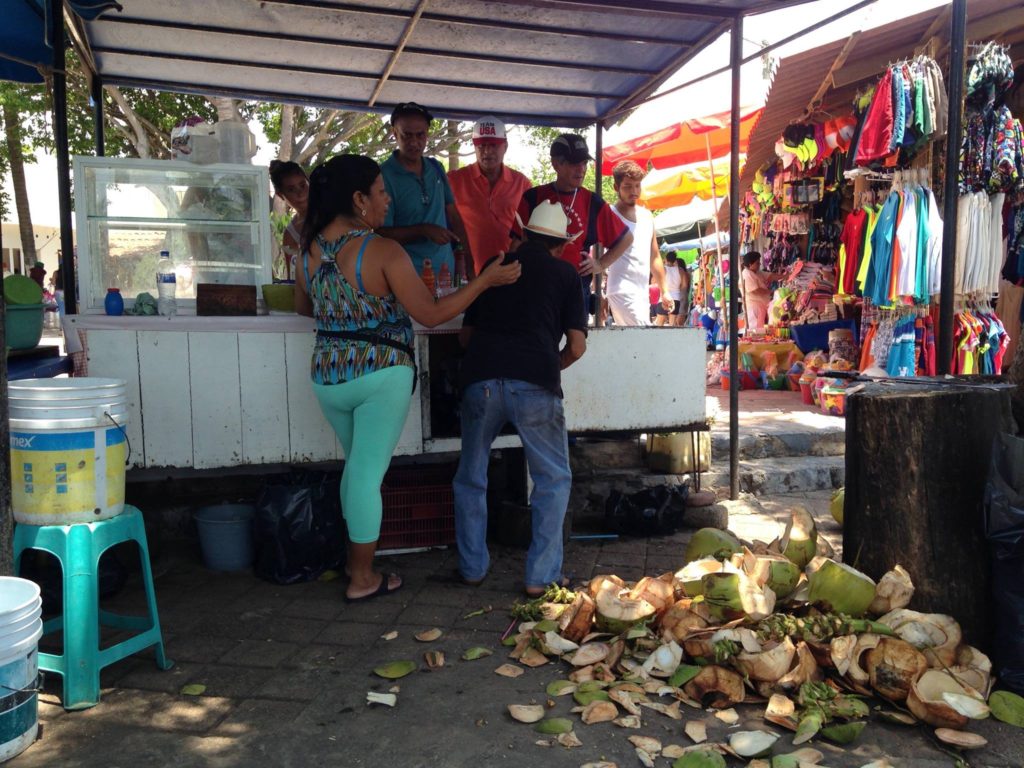 coconuts-negotiations-at-playa-linda-on-the-way-to-isla-ixtapa