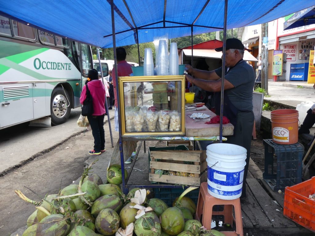 never-miss-the-roadside-coconut-stand