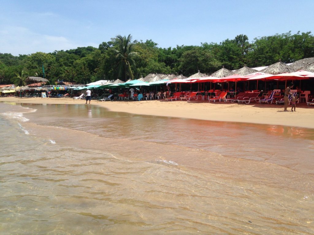 playa-cuachalalate