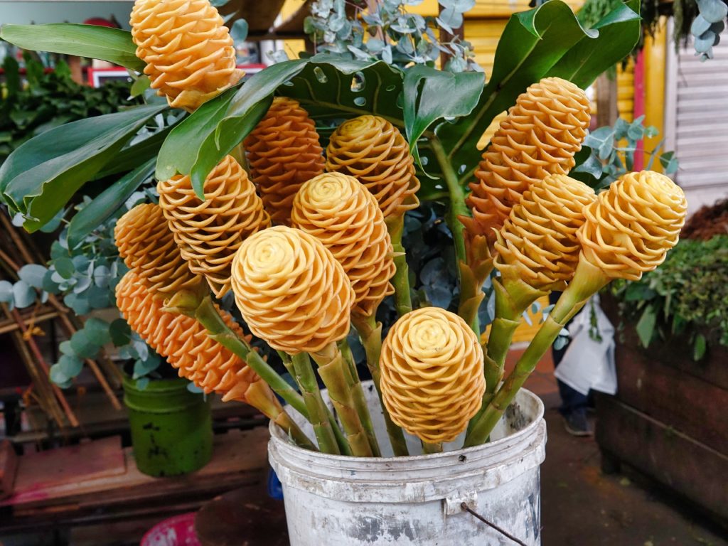 Interesting flowers, any idea what this flower is called?