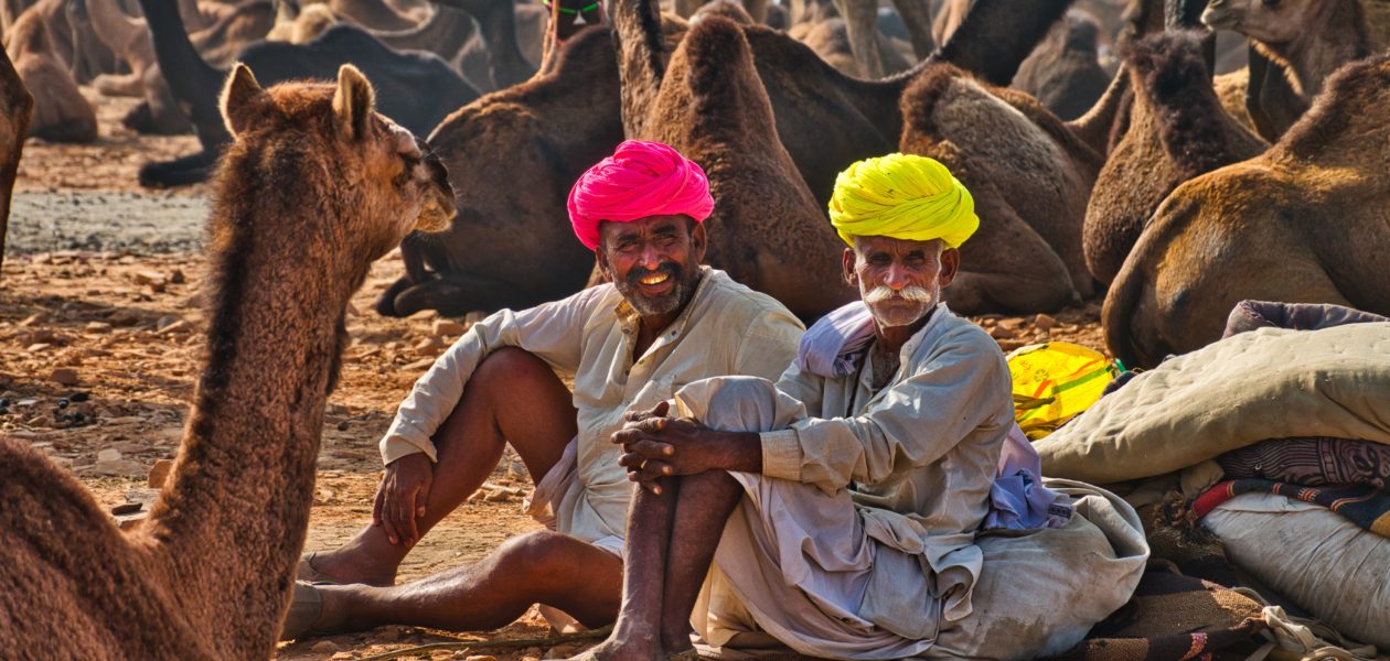 Camel Trading fair Pushkar
